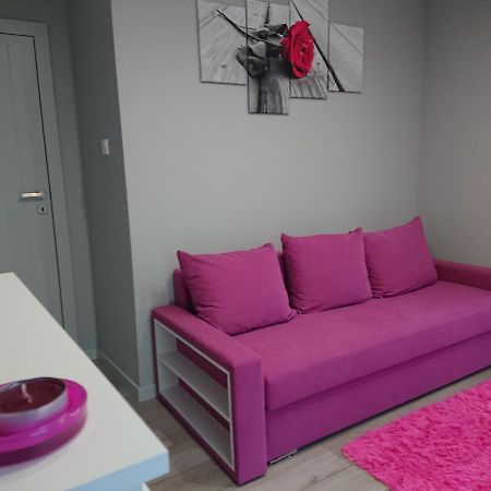 키엘체 Apartament Exclusive 아파트 외부 사진